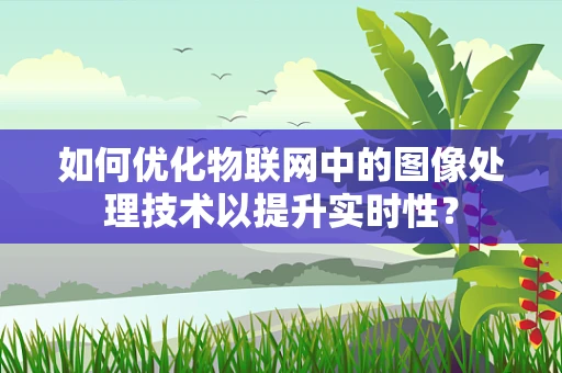 如何优化物联网中的图像处理技术以提升实时性？