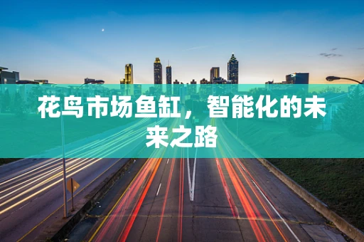 花鸟市场鱼缸，智能化的未来之路