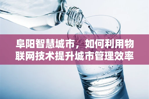 阜阳智慧城市，如何利用物联网技术提升城市管理效率？