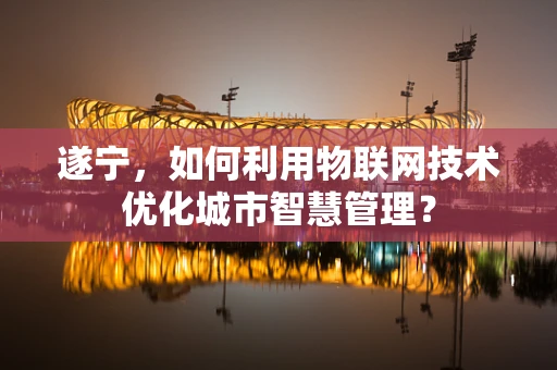 遂宁，如何利用物联网技术优化城市智慧管理？