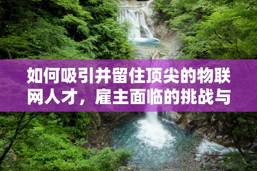 如何吸引并留住顶尖的物联网人才，雇主面临的挑战与策略