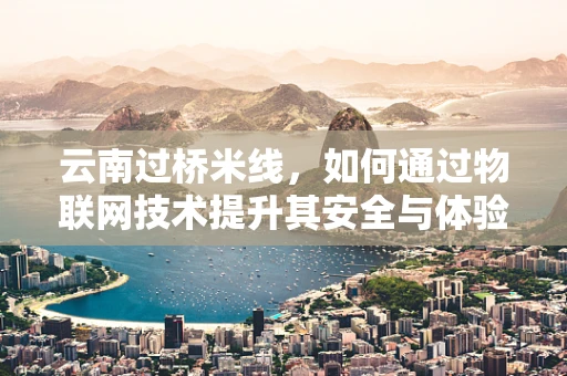 云南过桥米线，如何通过物联网技术提升其安全与体验？