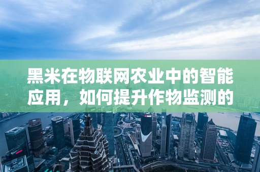 黑米在物联网农业中的智能应用，如何提升作物监测的精准度？