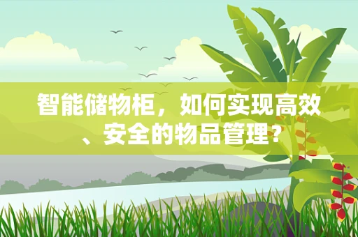 智能储物柜，如何实现高效、安全的物品管理？
