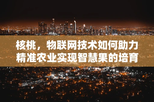 核桃，物联网技术如何助力精准农业实现智慧果的培育？