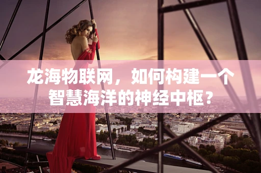 龙海物联网，如何构建一个智慧海洋的神经中枢？