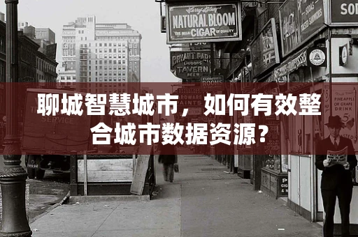 聊城智慧城市，如何有效整合城市数据资源？