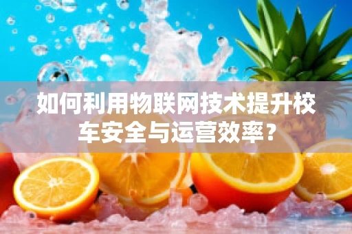 如何利用物联网技术提升校车安全与运营效率？