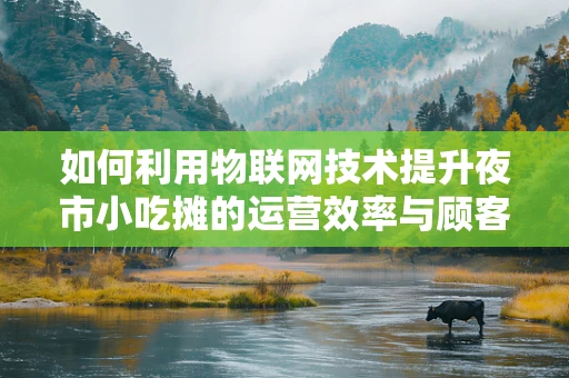 如何利用物联网技术提升夜市小吃摊的运营效率与顾客体验？