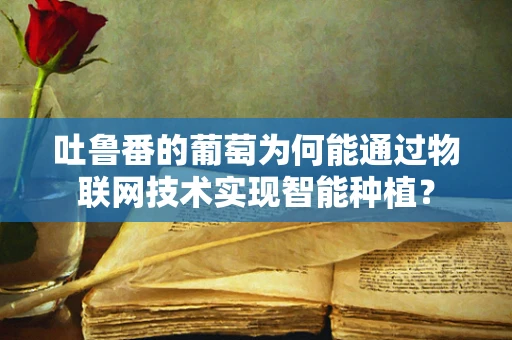 吐鲁番的葡萄为何能通过物联网技术实现智能种植？