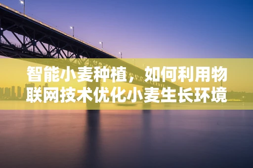智能小麦种植，如何利用物联网技术优化小麦生长环境？