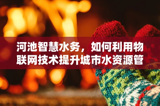 河池智慧水务，如何利用物联网技术提升城市水资源管理效率？