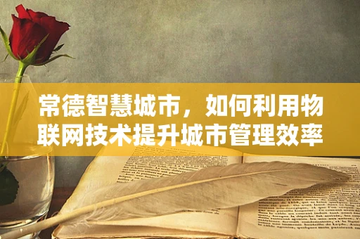 常德智慧城市，如何利用物联网技术提升城市管理效率？