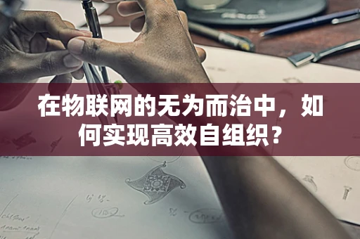 在物联网的无为而治中，如何实现高效自组织？