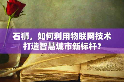 石狮，如何利用物联网技术打造智慧城市新标杆？
