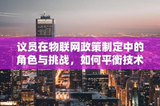 议员在物联网政策制定中的角色与挑战，如何平衡技术创新与公众利益？