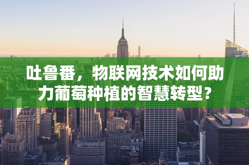 吐鲁番，物联网技术如何助力葡萄种植的智慧转型？
