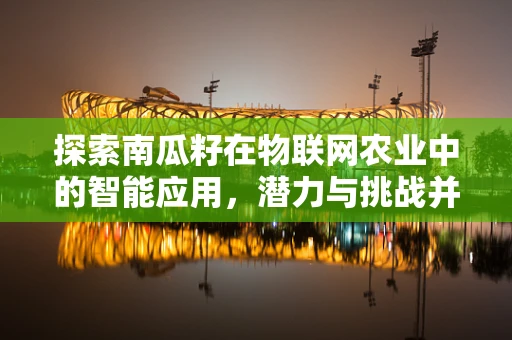探索南瓜籽在物联网农业中的智能应用，潜力与挑战并存？