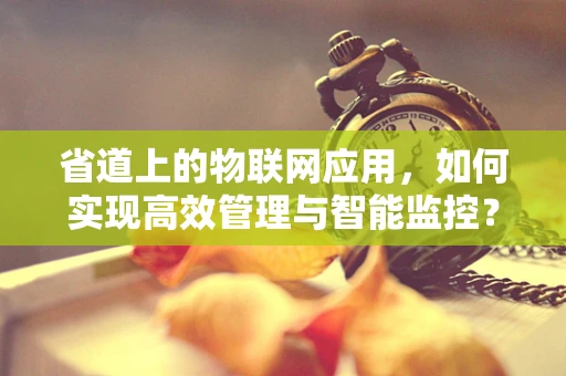 省道上的物联网应用，如何实现高效管理与智能监控？