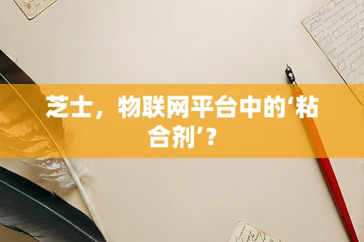 芝士，物联网平台中的‘粘合剂’？