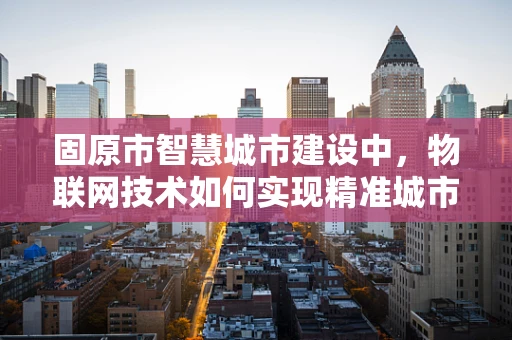 固原市智慧城市建设中，物联网技术如何实现精准城市管理？