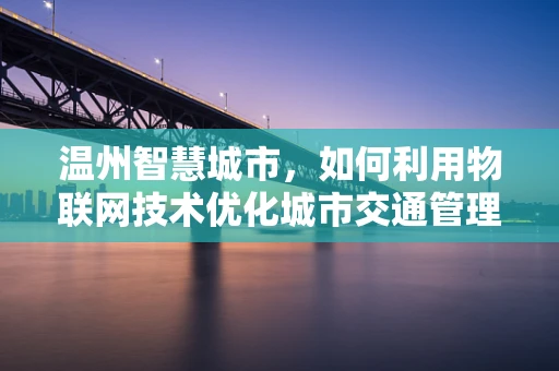 温州智慧城市，如何利用物联网技术优化城市交通管理？