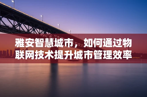 雅安智慧城市，如何通过物联网技术提升城市管理效率？
