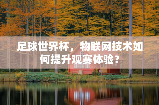 足球世界杯，物联网技术如何提升观赛体验？