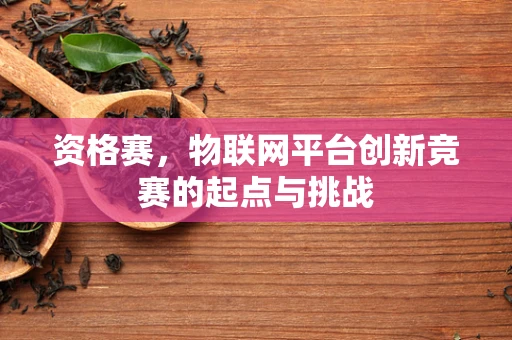 资格赛，物联网平台创新竞赛的起点与挑战
