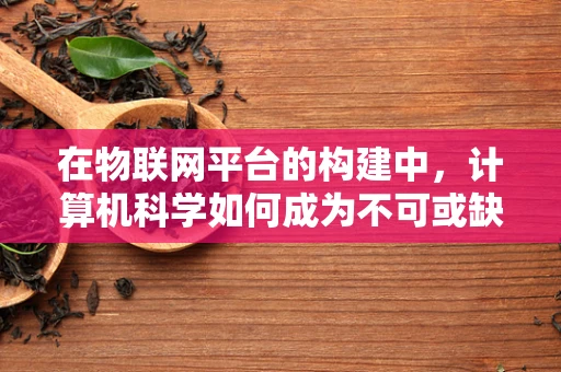 在物联网平台的构建中，计算机科学如何成为不可或缺的基石？