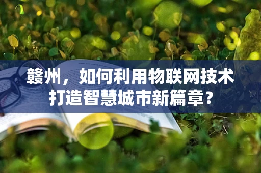 赣州，如何利用物联网技术打造智慧城市新篇章？