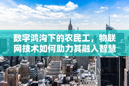 数字鸿沟下的农民工，物联网技术如何助力其融入智慧城市？