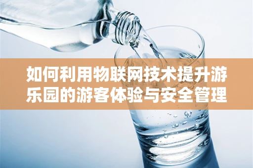 如何利用物联网技术提升游乐园的游客体验与安全管理？