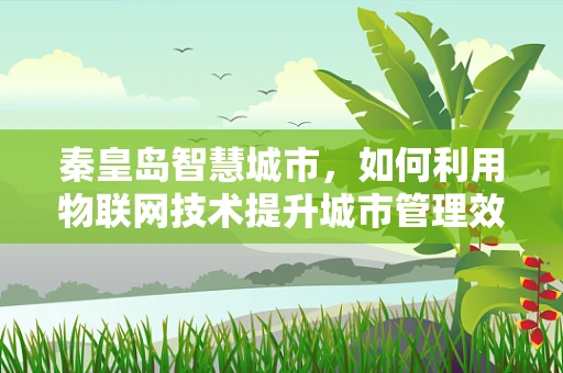 秦皇岛智慧城市，如何利用物联网技术提升城市管理效率？