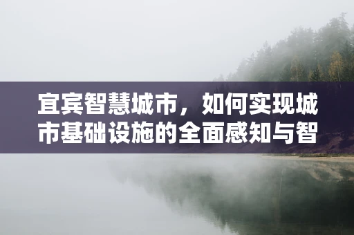 宜宾智慧城市，如何实现城市基础设施的全面感知与智能管理？