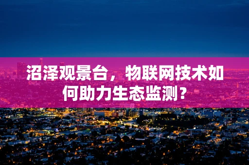 沼泽观景台，物联网技术如何助力生态监测？