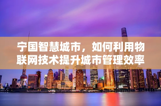 宁国智慧城市，如何利用物联网技术提升城市管理效率？