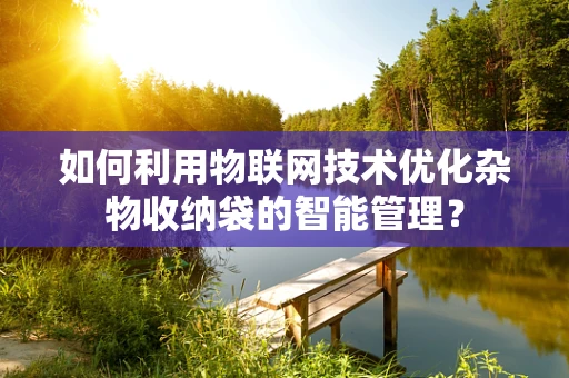 如何利用物联网技术优化杂物收纳袋的智能管理？