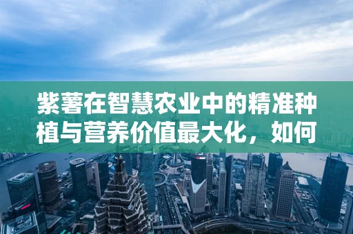 紫薯在智慧农业中的精准种植与营养价值最大化，如何实现？