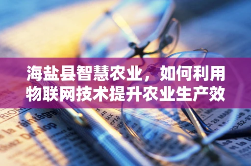 海盐县智慧农业，如何利用物联网技术提升农业生产效率？