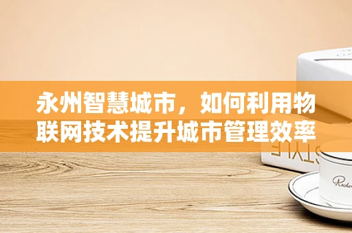 永州智慧城市，如何利用物联网技术提升城市管理效率？