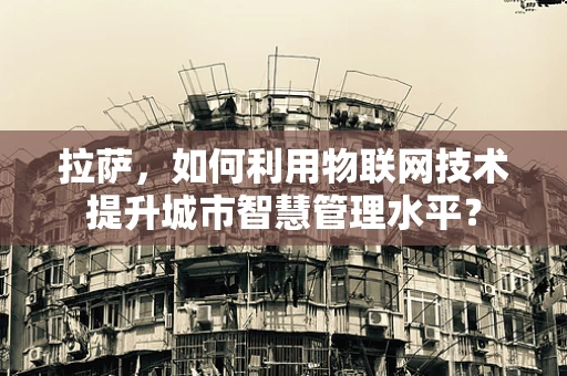 拉萨，如何利用物联网技术提升城市智慧管理水平？