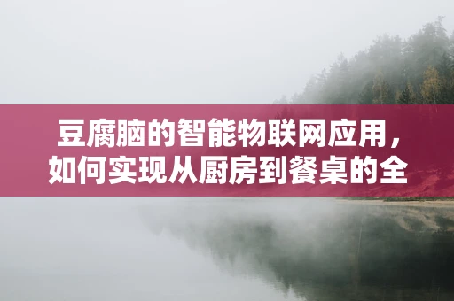 豆腐脑的智能物联网应用，如何实现从厨房到餐桌的全程监控？