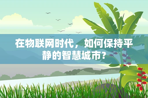 在物联网时代，如何保持平静的智慧城市？