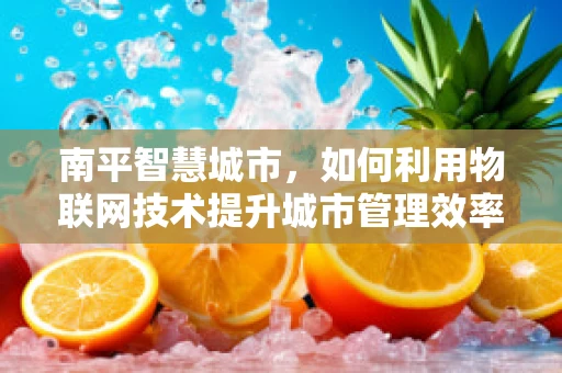 南平智慧城市，如何利用物联网技术提升城市管理效率？