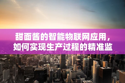 甜面酱的智能物联网应用，如何实现生产过程的精准监控？