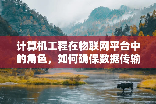计算机工程在物联网平台中的角色，如何确保数据传输的可靠性和安全性？