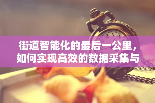 街道智能化的最后一公里，如何实现高效的数据采集与整合？
