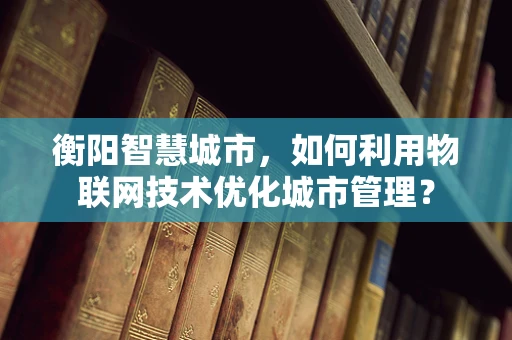衡阳智慧城市，如何利用物联网技术优化城市管理？