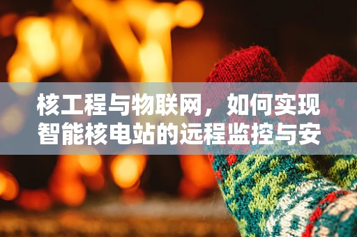 核工程与物联网，如何实现智能核电站的远程监控与安全保障？